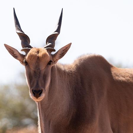 Jansen Kalahari Guest Farm Villa Hoachanas Екстериор снимка