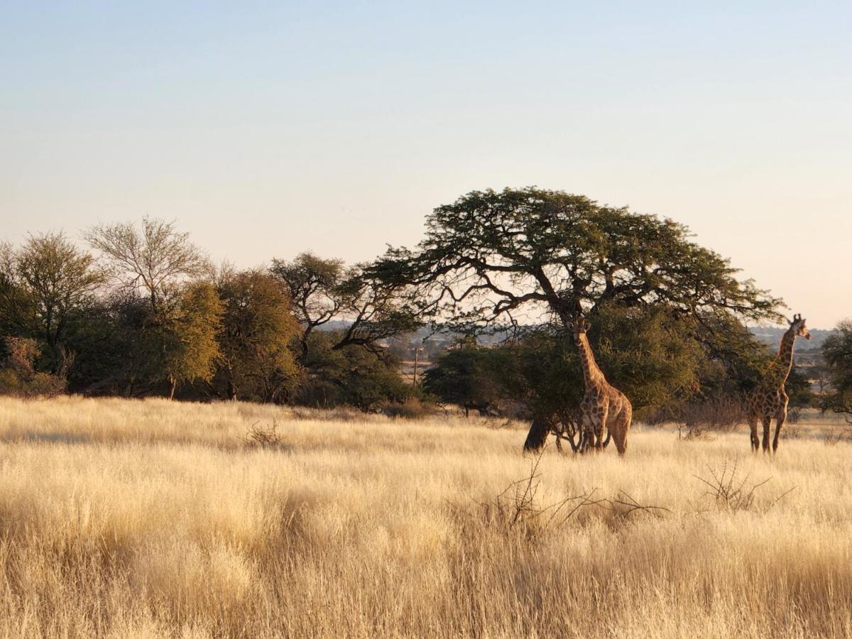 Jansen Kalahari Guest Farm Villa Hoachanas Екстериор снимка