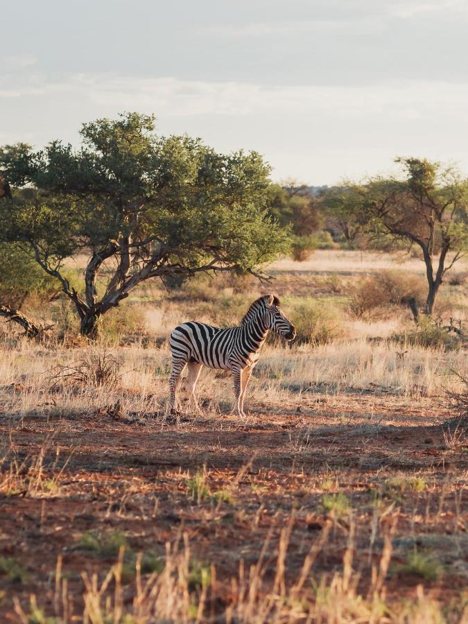 Jansen Kalahari Guest Farm Villa Hoachanas Екстериор снимка