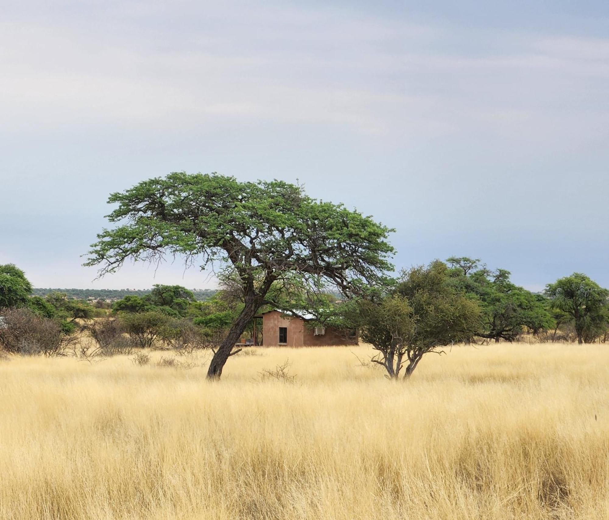 Jansen Kalahari Guest Farm Villa Hoachanas Екстериор снимка
