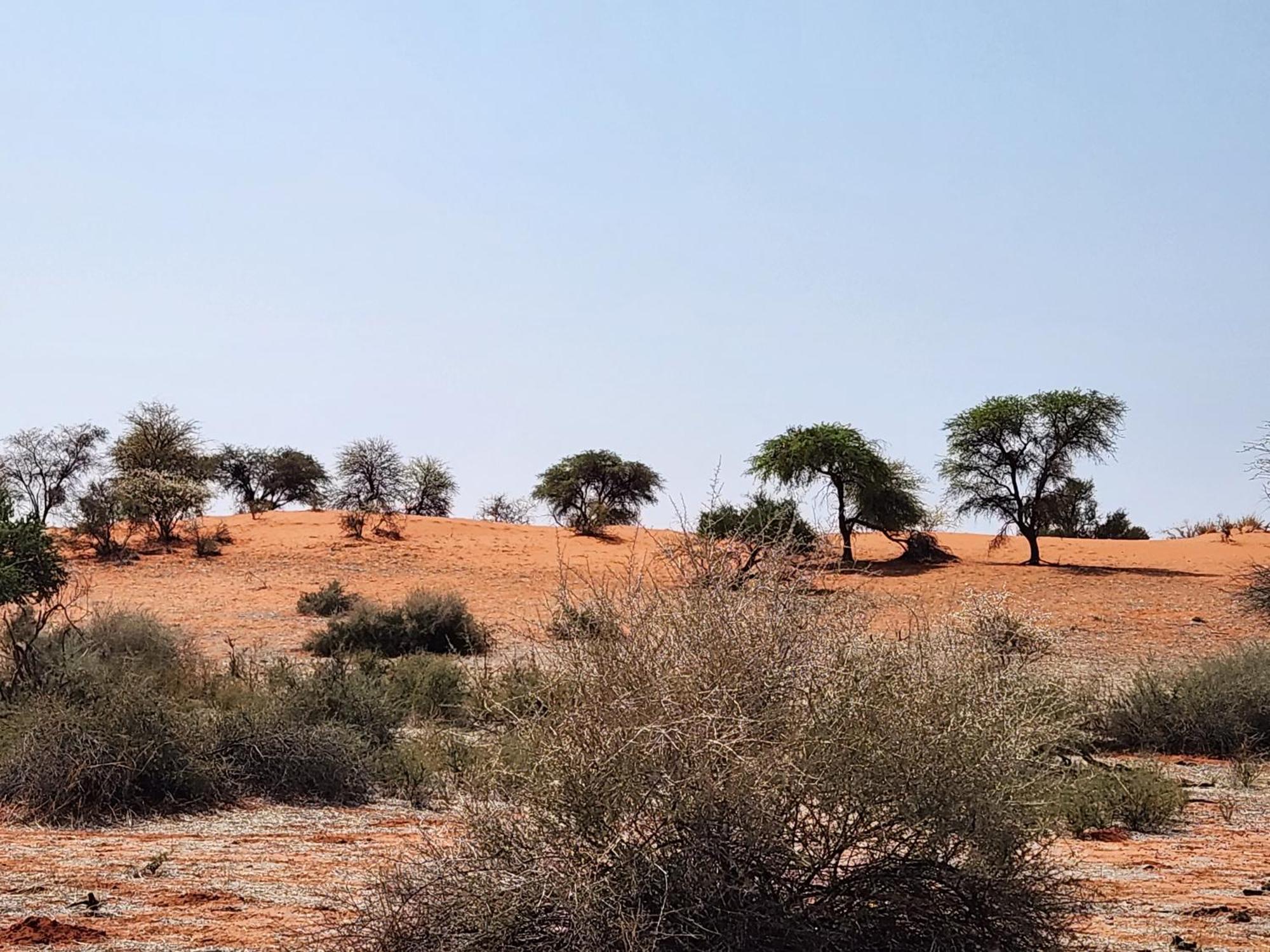 Jansen Kalahari Guest Farm Villa Hoachanas Стая снимка