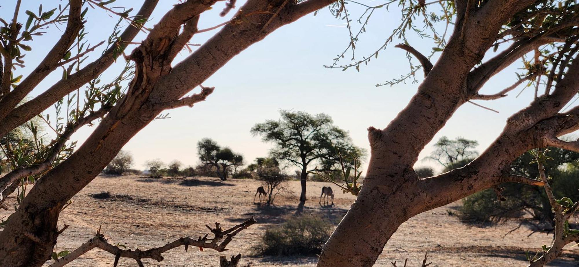 Jansen Kalahari Guest Farm Villa Hoachanas Екстериор снимка
