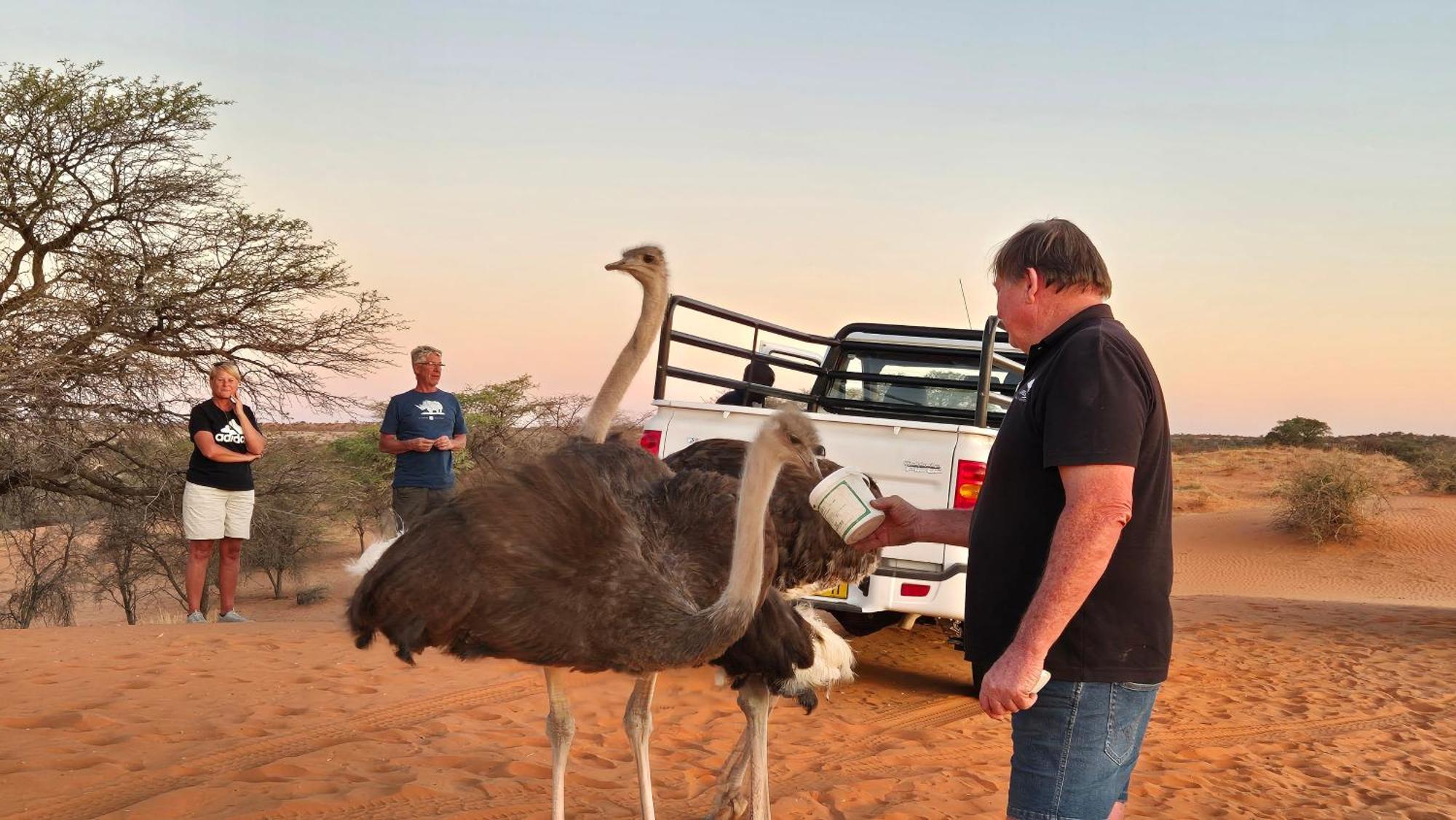 Jansen Kalahari Guest Farm Villa Hoachanas Екстериор снимка