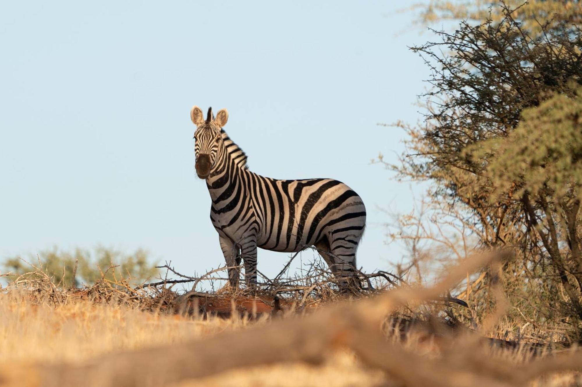 Jansen Kalahari Guest Farm Villa Hoachanas Екстериор снимка