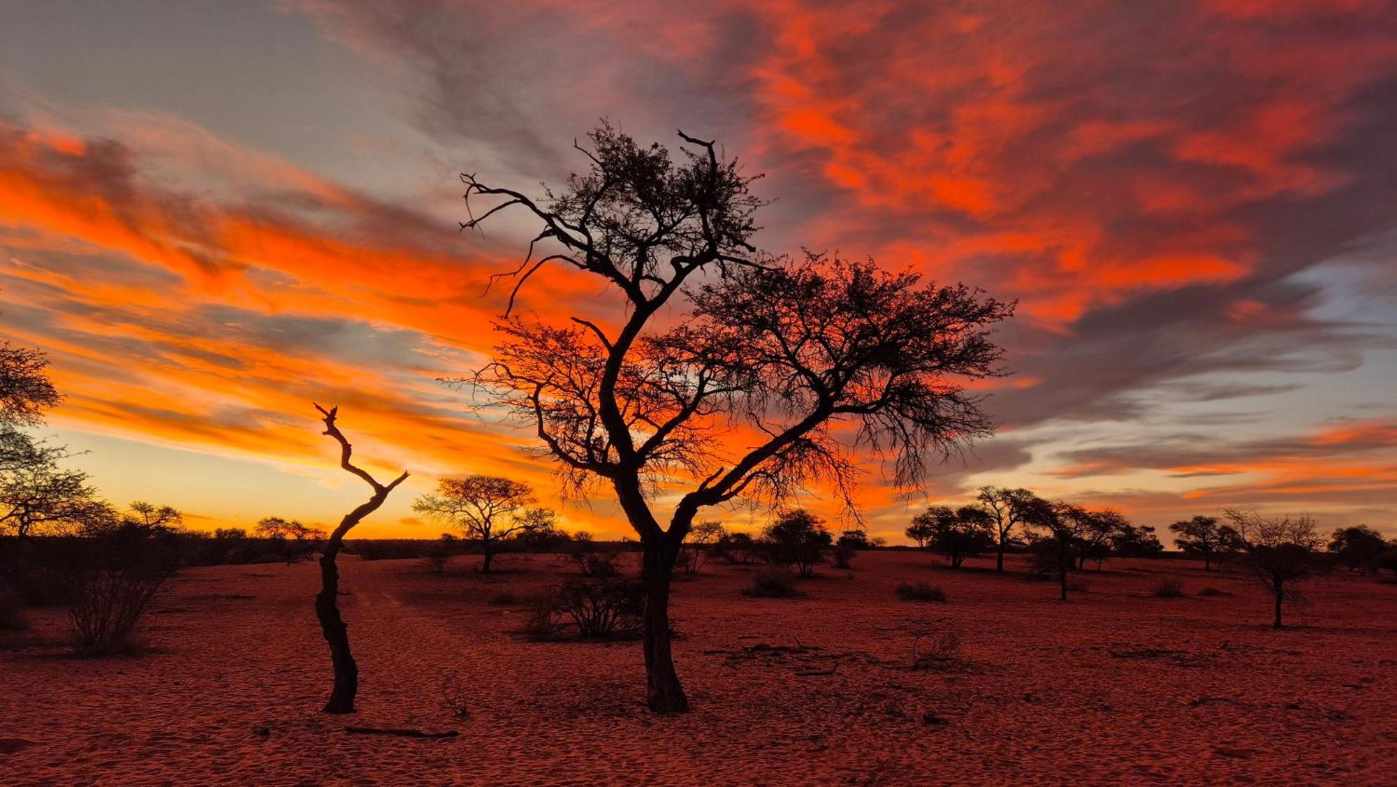 Jansen Kalahari Guest Farm Villa Hoachanas Екстериор снимка