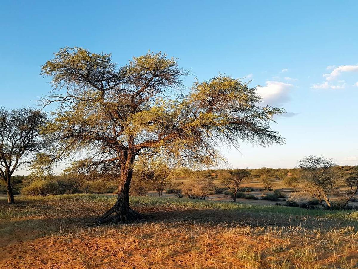 Jansen Kalahari Guest Farm Villa Hoachanas Екстериор снимка